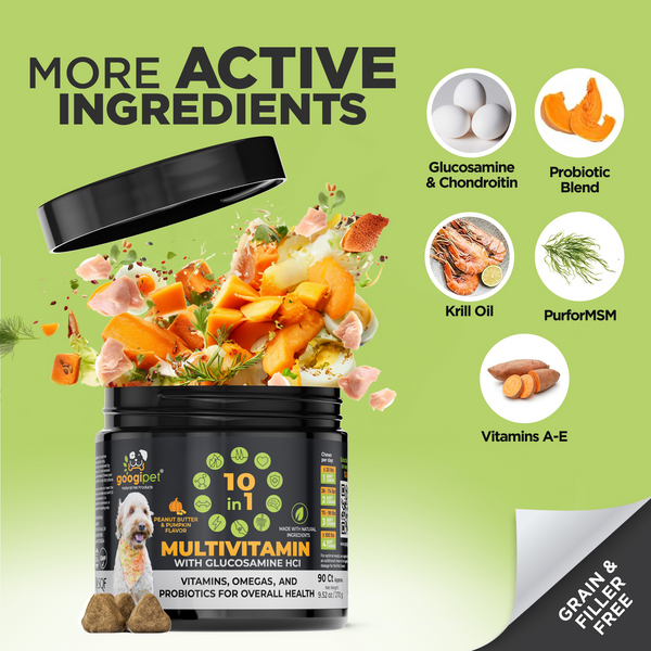 10 in 1 Multivitamin Chews for Dogs (Peanut Butter & Pumpkin Flavor) - gocyberbiz.com