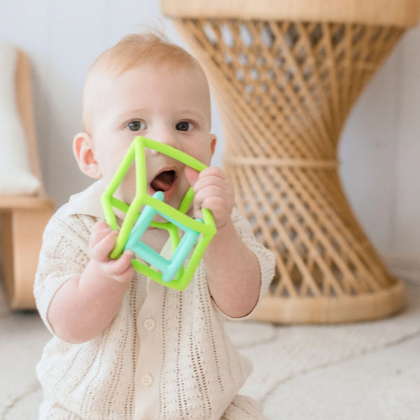 Tiny Land® Montessori Toys for Newborns (4–6 Months) - gocyberbiz.com
