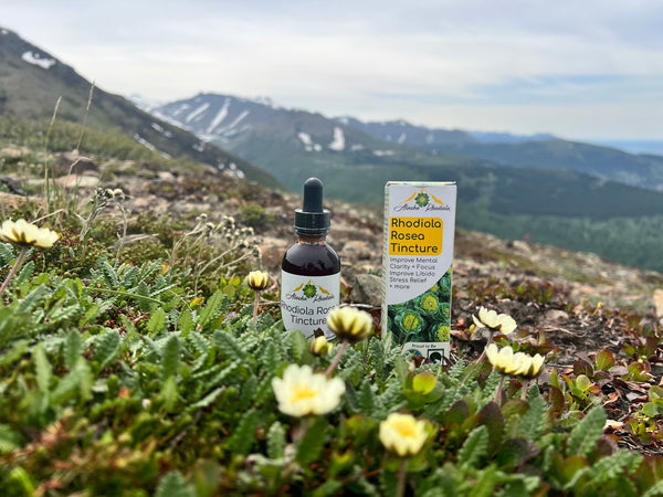 Rhodiola Rosea Tincture – Natural Stress & Energy Support (2 oz) - gocyberbiz.com