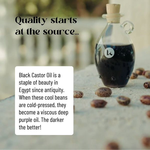 Black Castor Oil for Hair & Brows - gocyberbiz.com