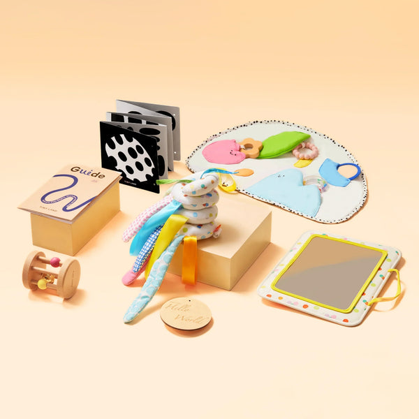 Tiny Land® Montessori Toys for Newborns (0–3 Months) - gocyberbiz.com