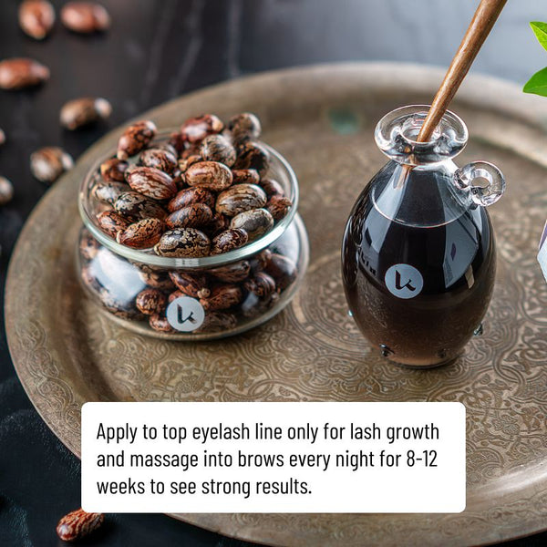 Black Castor Oil for Hair & Brows - gocyberbiz.com