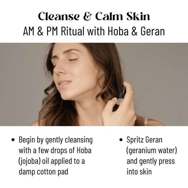 Oily Skin Kit - gocyberbiz.com