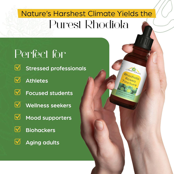 Rhodiola Rosea Tincture – Natural Stress & Energy Support (2 oz) - gocyberbiz.com