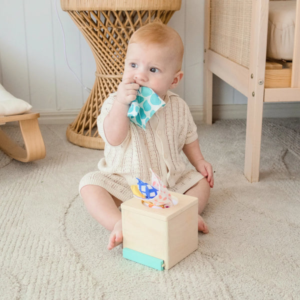 Tiny Land® Montessori Toys for Newborns (4–6 Months) - gocyberbiz.com