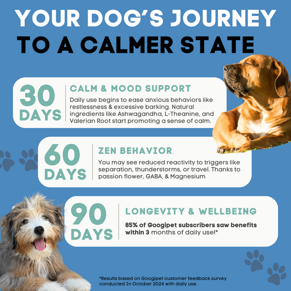 Hemp Calming Chews for Dogs - gocyberbiz.com