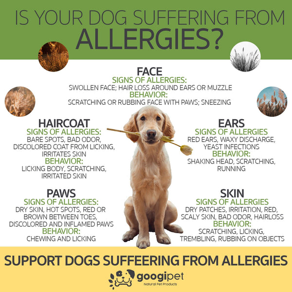Allergy & Immune Support Chews for Dogs (Coconut & Carob Flavor) - gocyberbiz.com