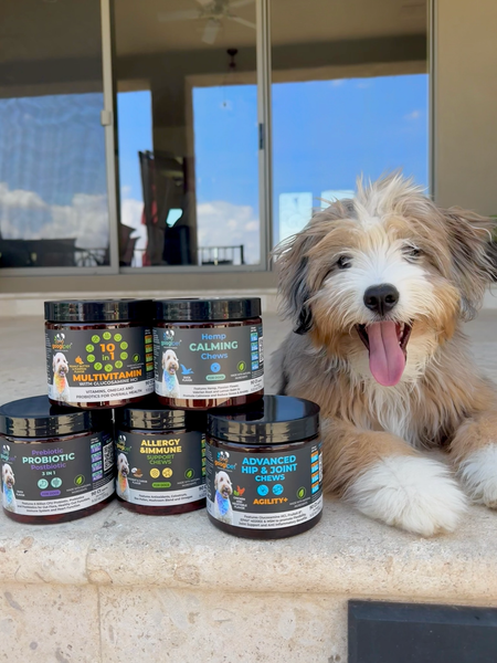 Hemp Calming Chews for Dogs - gocyberbiz.com