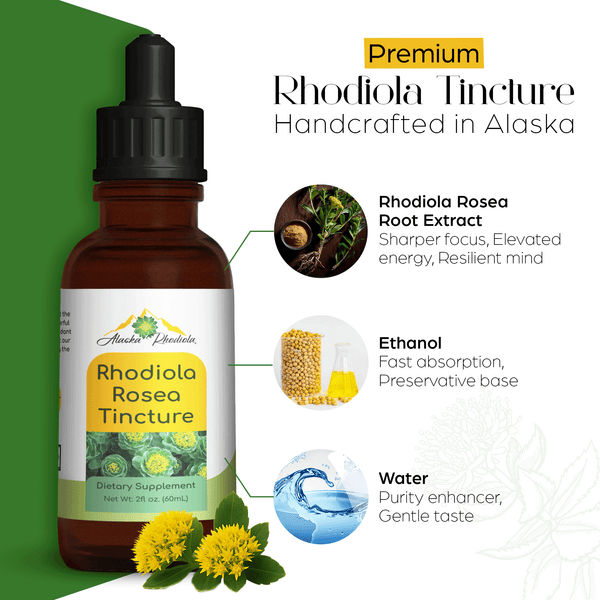 Rhodiola Rosea Tincture – Natural Stress & Energy Support (2 oz) - gocyberbiz.com