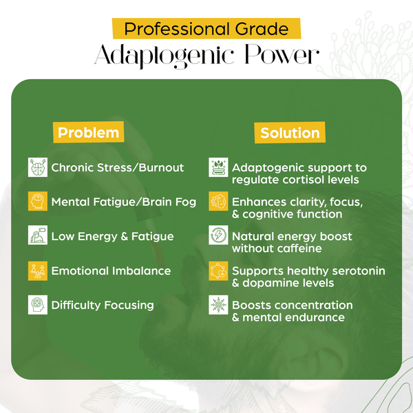 Rhodiola Rosea Tincture – Natural Stress & Energy Support (2 oz) - gocyberbiz.com