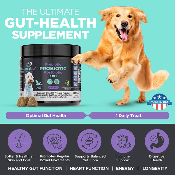3 in 1 Probiotic Chews for Dogs - gocyberbiz.com