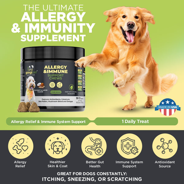 Allergy & Immune Support Chews for Dogs (Coconut & Carob Flavor) - gocyberbiz.com