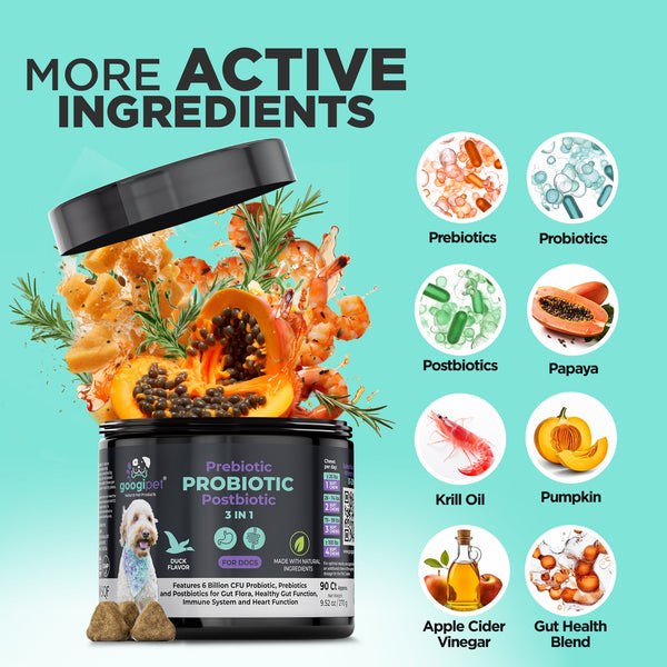 3 in 1 Probiotic Chews for Dogs - gocyberbiz.com