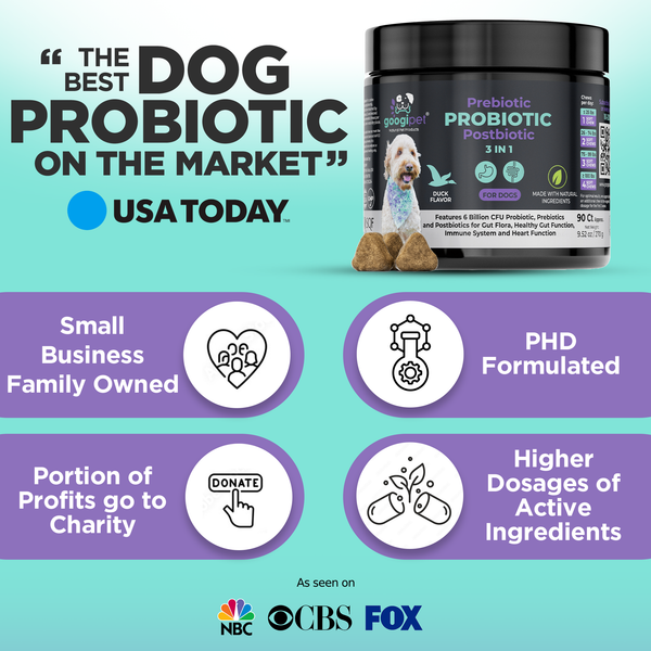 3 in 1 Probiotic Chews for Dogs - gocyberbiz.com