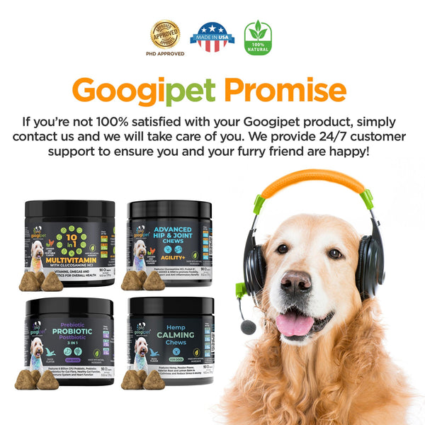 10 in 1 Multivitamin Chews for Dogs (Peanut Butter & Pumpkin Flavor) - gocyberbiz.com