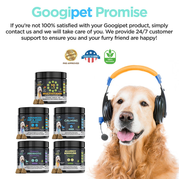 Hemp Calming Chews for Dogs - gocyberbiz.com