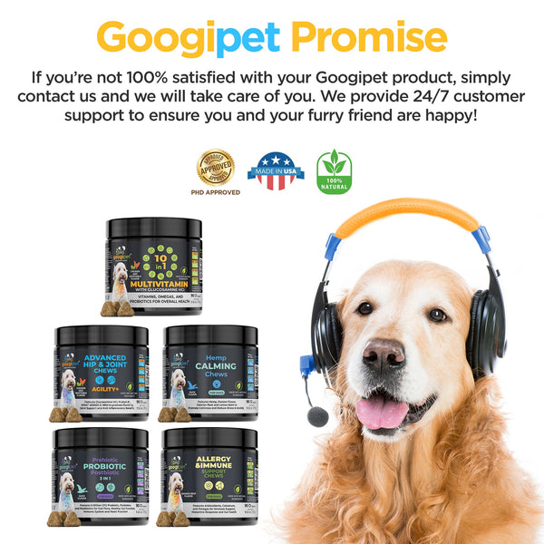 Agility+ Advanced Hip and Joint Chews for Dogs - gocyberbiz.com