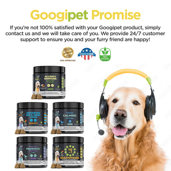 Allergy & Immune Support Chews for Dogs (Peanut Butter Flavor) - gocyberbiz.com