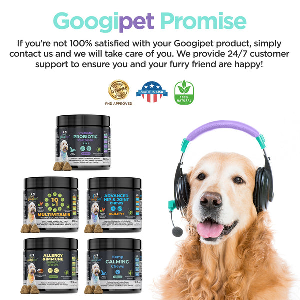 3 in 1 Probiotic Chews for Dogs - gocyberbiz.com