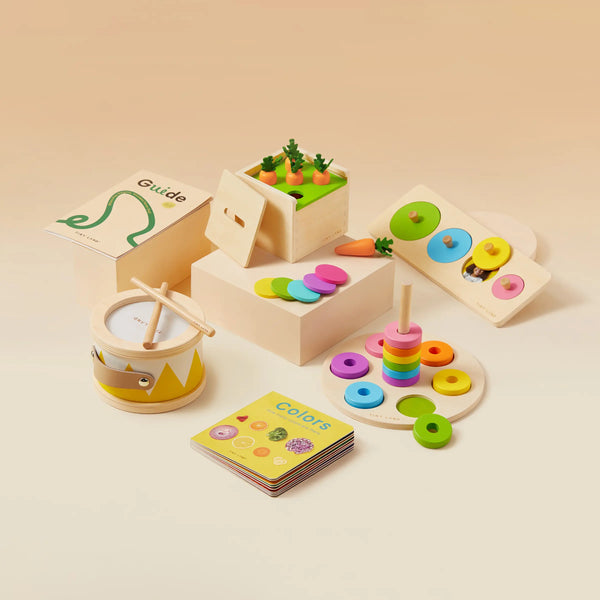 Tiny Land® Montessori Toys for Toddlers (13–15 Months) - gocyberbiz.com