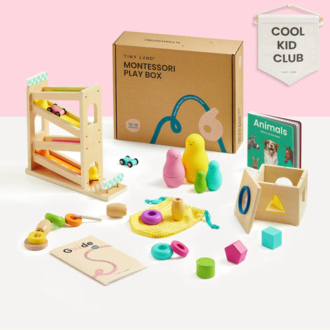 Tiny Land® Montessori Toys for Toddlers (16–18 Months) – Montessori Educational Toys - gocyberbiz.com