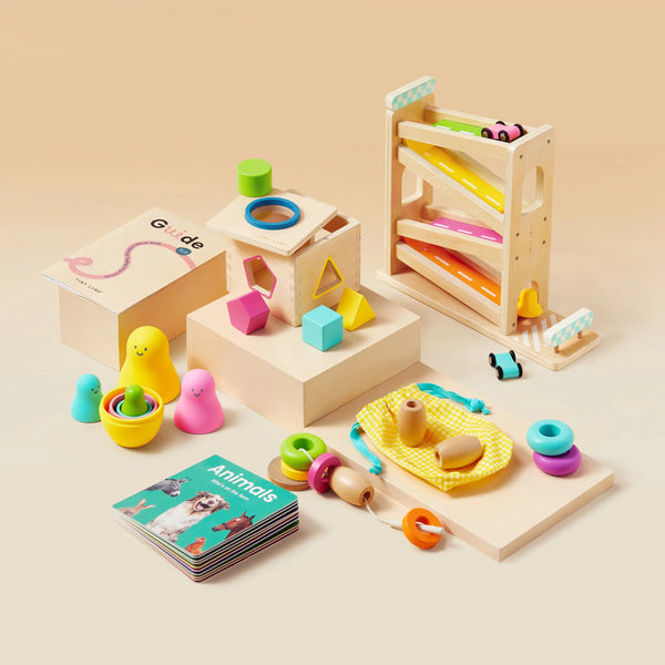 Tiny Land® Montessori Toys for Toddlers (16–18 Months) – Montessori Educational Toys - gocyberbiz.com