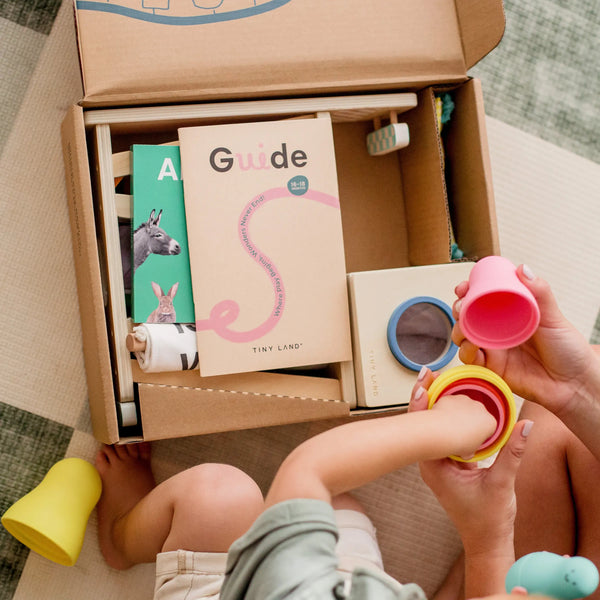 Tiny Land® Montessori Toys for Toddlers (16–18 Months) – Montessori Educational Toys - gocyberbiz.com