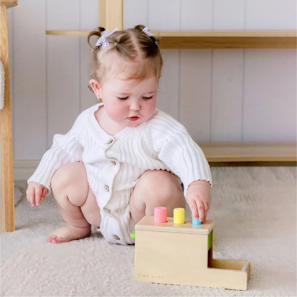 Tiny Land® Montessori Toys for Infants (10–12 Months) - gocyberbiz.com