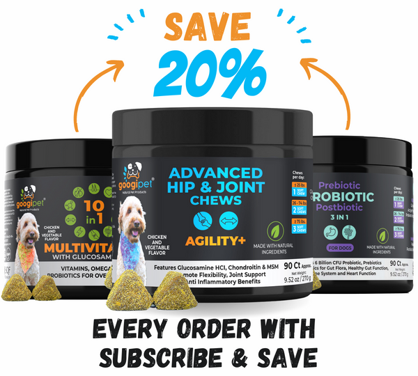 Agility+ Advanced Hip and Joint Chews for Dogs - gocyberbiz.com