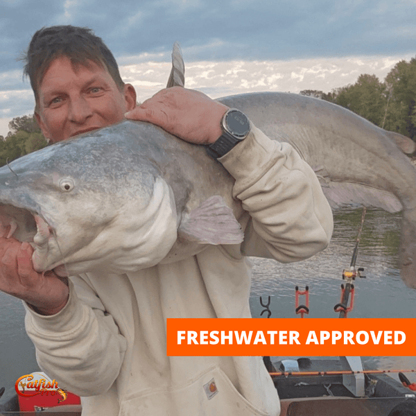 Double Offset Circle Hooks 9/0 - Value Pack - gocyberbiz.com