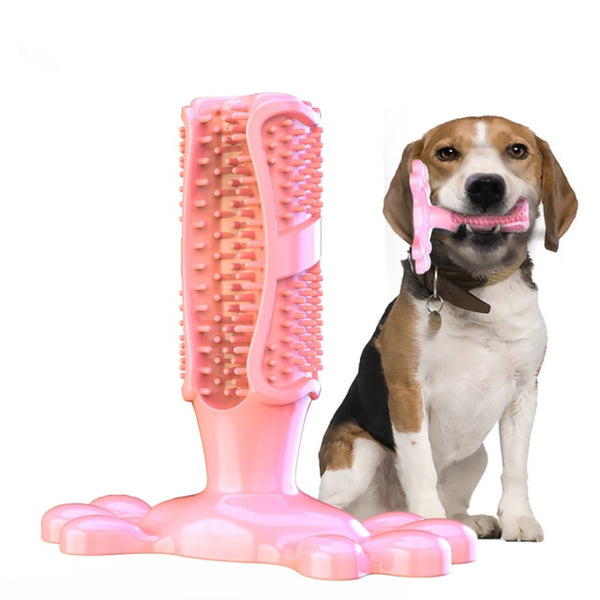 Dog Molar Chew Cleaning Toothbrush - gocyberbiz.com