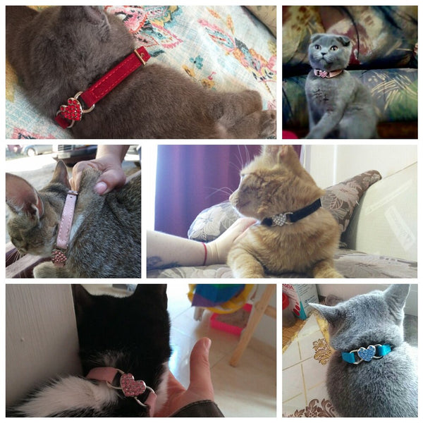 Cat Collar With Bell Collar For Cats Kitten Puppy Leash Collars For Cats Dog Chihuahua Pet Cat Collars Leashes Lead Pet Supplies - gocyberbiz.com