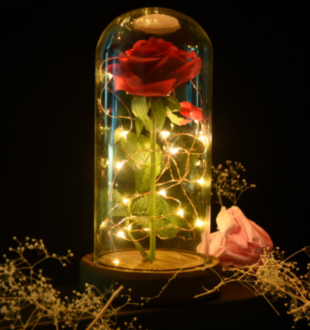 Rose in a glass dome - gocyberbiz.com