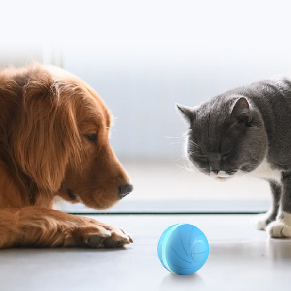 Cheerble Pet Toy Wicked ball 100% Automatic Jump Ball Smart Teaser Cat and Dog Toys Bite-resistant - gocyberbiz.com