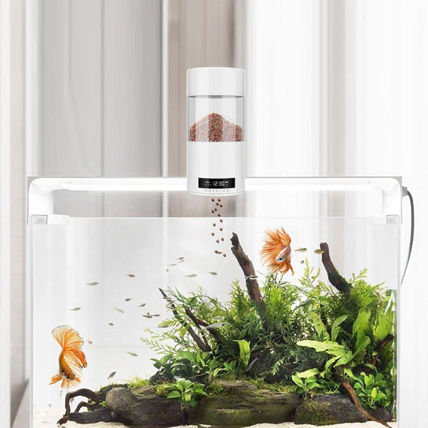 Automatic Fish Feeder - gocyberbiz.com