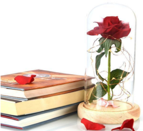 Rose in a glass dome - gocyberbiz.com