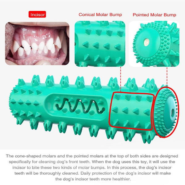 Dog Molar Chew Cleaning Toothbrush - gocyberbiz.com