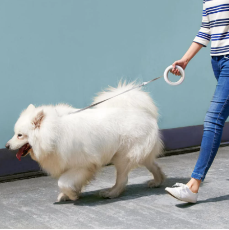 Xiaomi MOESTAR UFO 2.6m Retractable Pet Leash - gocyberbiz.com