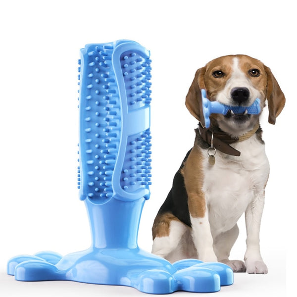 Dog Molar Chew Cleaning Toothbrush - gocyberbiz.com