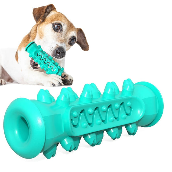 Dog Molar Chew Cleaning Toothbrush - gocyberbiz.com