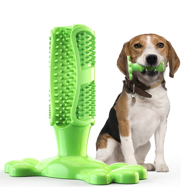 Dog Molar Chew Cleaning Toothbrush - gocyberbiz.com