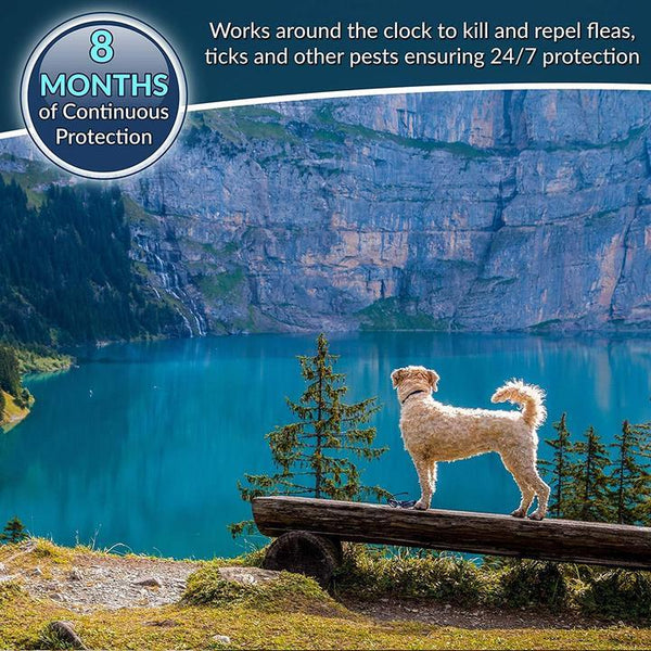 Pro Guard Flea and Tick Pet Collar - gocyberbiz.com