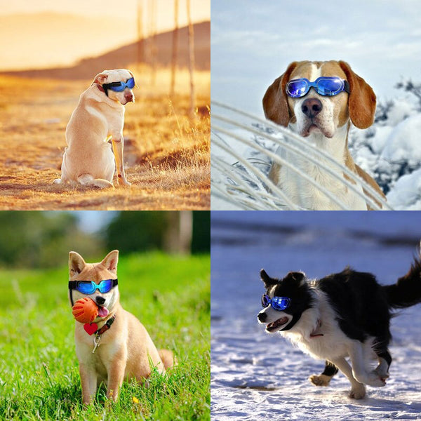 UV Protection Dog Sunglasses - gocyberbiz.com